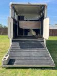 Iveco Horsebox