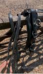 Zilco Harness 