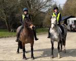 13.3hh Welsh Section D Riding Gelding with Tack