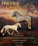 14.3hh Welsh Section D Stallion at Stud 