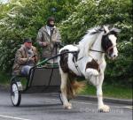 Magnum, Ride and Drive Gelding 