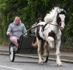 Magnum, Ride and Drive Gelding 
