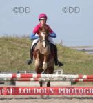 Registered Welsh section B would suit confident rider, 14 years old. Vaccines, teeth, etc, up to date. Good to hack alone and in company. Open fields and road work. Enjoys jumping 50-60cm has scope to go further with the right jockey. Great conformation and true to type stamp.

