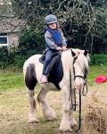 3 year old 12.1hh, black and white gelding, ride and drive. This kids pony is bombproof in all ways, good for a first time rider. 