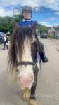 Jack, 12.2hh Riding Gelding