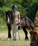 11.2hh 4 year old Mini Cob. Toby is the sweetest pony I have ever met, he loves cuddles and kisses and will stand for hours and hours on end, you can lay with him in the field and he adores the attention. Toby has been out to some showing shows where he was placed well in both big classes and small but if that's not your thing he would make a perfect child's pony, he has been tacked up with zero fuss sat on and walked out but is still obviously very green.

