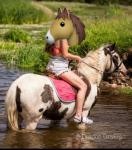 Splash, 12hh Riding Mare
