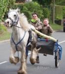 Monty, 14.1hh Ride & Drive Gelding