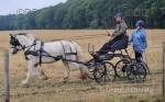 Ride and drive, 5 years old, 14.1hh plenty of filling out still to do.
Genuinely easy to do in all ways, perfect in heavy traffic good in the arena and in open spaces. 