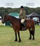 Dowlesbrook Maggie May, 14.2hh Welsh Section D Riding Mare