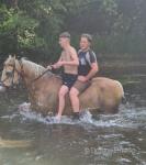 14hh Ride & Drive Mares