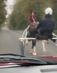 Driving Colt