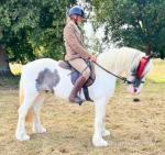 Darla, 13.2hh Riding Mare