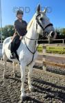 Echo, 17hh Riding Mare