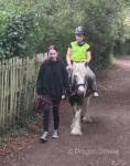 Riding Gelding