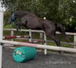 Orla, & Vera, ISH Fillies
