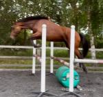 Orla, & Vera, ISH Fillies