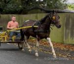 15.1hh Ride and Drive Mare