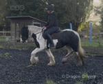 Pandora, Riding Filly