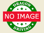 12hh Ride and Drive Gelding 