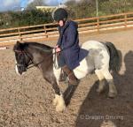 12hh Mare with Filly Foal at Foot