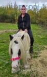 Ride and drive, very quiet, good on road. Approx 13hh, comes with harness, cart, winter rug, shoed, chain and headstall. Passport and chipped. 