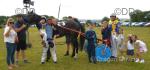Majestic Smile, Ride and Drive Gelding 