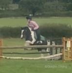 Beautiful 13hh gelding for sale due to being wasted, no fault of his own. Ridden by my 8 year old who he is very safe with. Loves to go out hacking is very forward and safe with all traffic and open fields. Can be lazy in the school unless he has someone on him that can push him forward however my daughter isn't that bothered with just plodding along. 