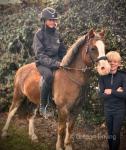 12.2hh Mare