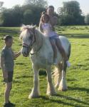 Here is Monty, my sons 5 year old 14.2hh gelding, grey and white. Ride and drive and been on every drive out there. Been in carts, drays and coonies and does it all.