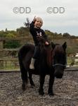 Alice, Shetland Riding Mare