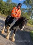 Kash is a 14hh, 10 year old ride and drive gelding. Good for the farrier, lives in or out, on his own, or in company.
 Kash is a 14hh, 10 year old ride and drive gelding. Good for the farrier, lives in or out, on his own, or in company.