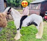 Trigger, Driving Colt