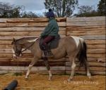 TJ, 14.2hh Gelding 