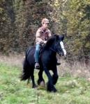 Dolly, 14hh Riding Mare