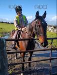 14.3hh Riding Mare