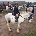 Apollo, 13.3hh Ride and Drive Gelding 