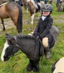 Commando, 11hh Ride and Drive Gelding 