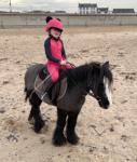Commando, 11hh Ride and Drive Gelding 