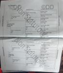 16hh Standardbred Mare