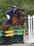 13.2hh Riding Gelding