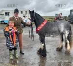 Captain Barnicals, Ride and Drive Gelding 