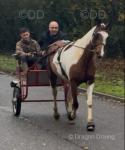 15.2hh Driving Mare