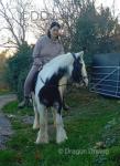 Daisy, 13.1hh Riding Mare