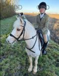 Princess Peach, 14hh Riding Mare