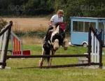 Luna, 13.2hh Riding Mare