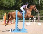 15.2hh Riding Mare