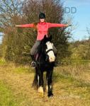 15.2hh Riding Mare