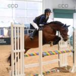 Bess, 14.2hh Riding Mare
