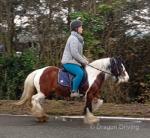 Ruby, 12.1hh Ride and Drive Mare